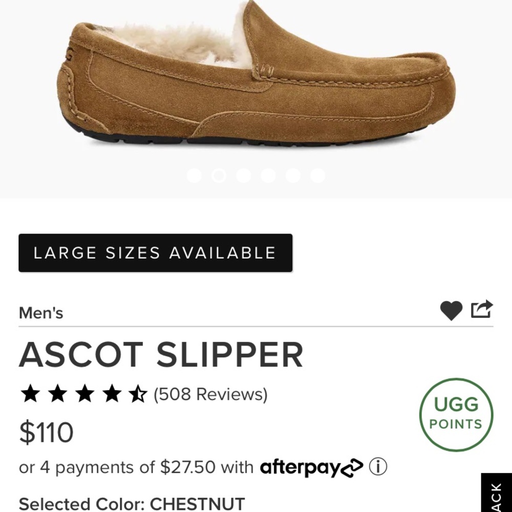 Men’s UGG slippers
